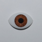 N 20 BROWN FIXED OVAL WITHOUT EYELASH