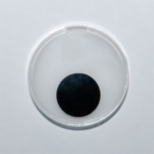 PLUSH TOY EYE WITH DISC 24 mm